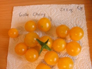 Gelbe Cherry